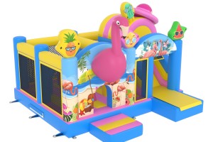 A vendre: château gonflable flamand rose
