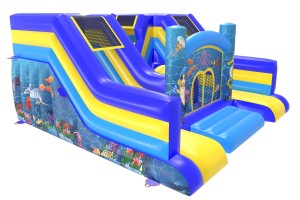 Acheter grand château gonflable avec double toboggan